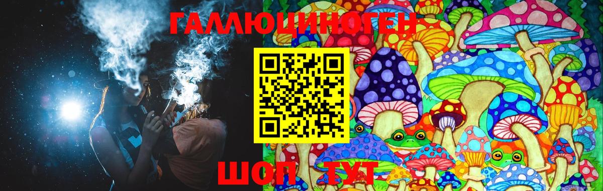 Галлюциногенные грибы Psilocybe Лабытнанги
